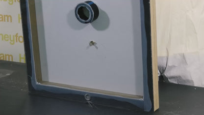 Honeyfoam HF200 Spray Foam Kit (Slow Rise)