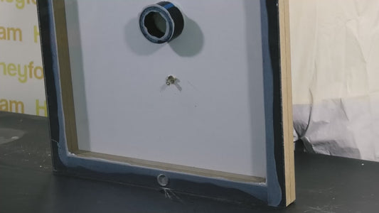 Honeyfoam H600 Injection Foam kit (Slow Rise)