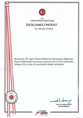 Geprüftes Patent